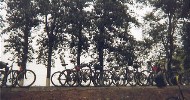 49 Bikes and trees - plain W of Beijing